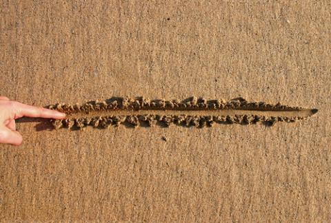 Drawing a line in the sand, Stephen Rees / Shutterstock.com Drawing a line in the sand, Stephen Rees / Shutterstock.com