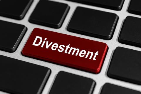 An option to divest. Image courtesy pichetw/shutterstock.com An option to divest. Image courtesy pichetw/shutterstock.com