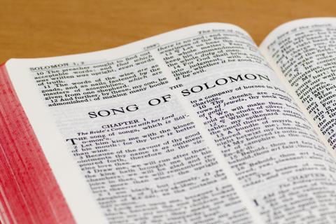 Song of Solomon photo, Joe Fallico / Shutterstock.com Song of Solomon photo, Joe Fallico / Shutterstock.com