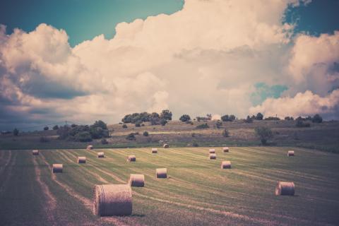Farm landscape, dvoevnore / Shutterstock.com Farm landscape, dvoevnore / Shutterstock.com