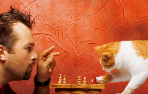 Choices image via Shutterstock Choices image via Shutterstock