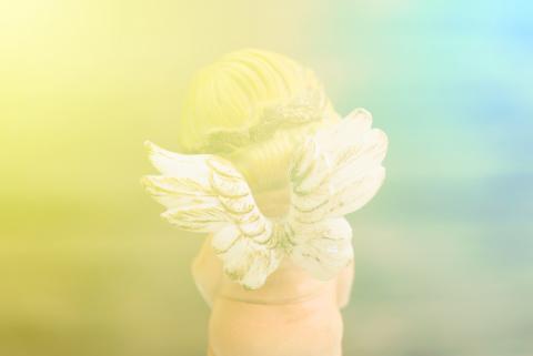 UMB-O / Shutterstock.com UMB-O / Shutterstock.com