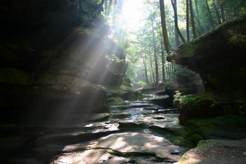 Sun shines through trees in rocky valley. Photo: Mark Poprocki/Shutterstock