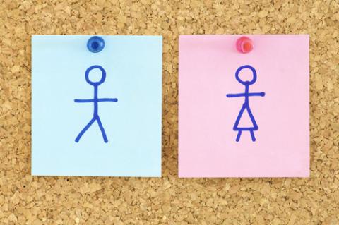 Male and female icons, Pedro Salaverría / Shutterstock.com Male and female icons, Pedro Salaverría / Shutterstock.com
