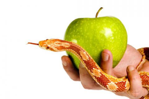Image by B.Stefanov / Shutterstock. Image by B.Stefanov / Shutterstock.