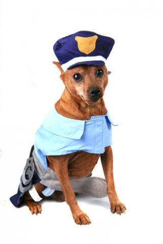 Look out. There's a new sheriff in town. Image via Katrina Brown / Shutterstock Look out. There's a new sheriff in town. Image via Katrina Brown / Shutterstock