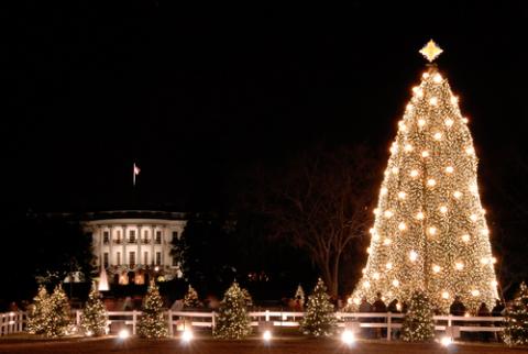 Photo: National Christmas Tree, © Robert Crow / Shutterstock.com Photo: National Christmas Tree, © Robert Crow / Shutterstock.com