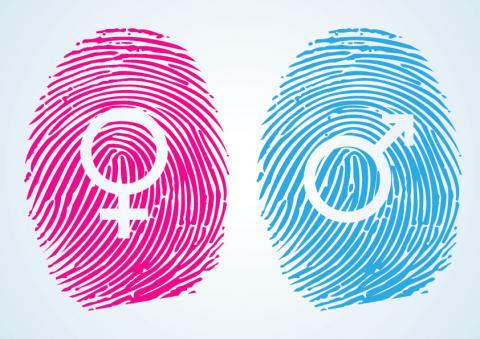 Gender symbols, SoulCurry / Shutterstock.com Gender symbols, SoulCurry / Shutterstock.com