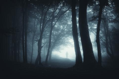 Dark forest path, andreiuc88 / Shutterstock.com Dark forest path, andreiuc88 / Shutterstock.com