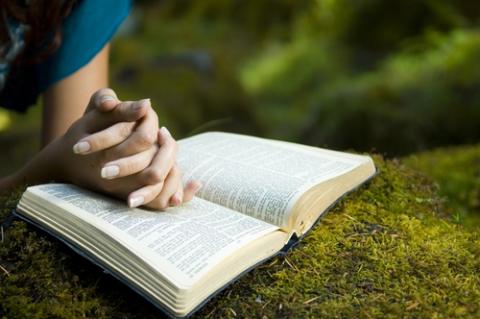 Photo: Woman reading Bible, © Jacob Gregory / Shutterstock.com Photo: Woman reading Bible, © Jacob Gregory / Shutterstock.com