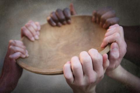 Photo by Suzanne Tucker / Shutterstock Photo by Suzanne Tucker / Shutterstock