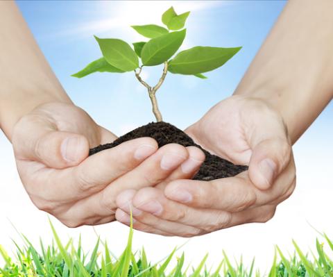 Creation care, violetkaipa / Shutterstock.com Creation care, violetkaipa / Shutterstock.com