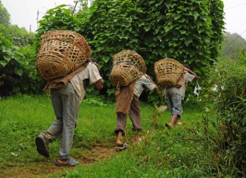 Photo: Unidentified young boys work hard as porters instead going to school: PavelSvoboda / Shutterstock.com PavelSvoboda / Shutterstock.com