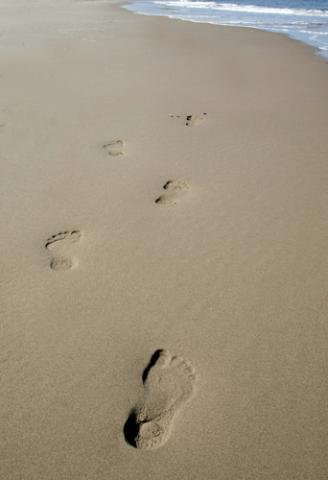 Footsteps in the sand, hpbdesign / Shutterstock.com Footsteps in the sand, hpbdesign / Shutterstock.com