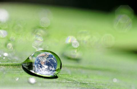 Sustainability image, danymages / Shutterstock.com Sustainability image, danymages / Shutterstock.com