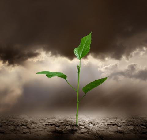 Creation care image, LilKar / Shutterstock.com Creation care image, LilKar / Shutterstock.com