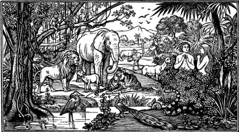 Garden of Eden, lynea / Shutterstock.com Garden of Eden, lynea / Shutterstock.com