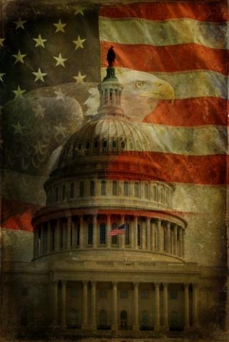 The United States Capitol, American Flag and Bald Eagle. Photo courtesy Liz Van Steenburgh/Shutterstock.com. Photo courtesy Liz Van Steenburgh/Shutterstock.com.