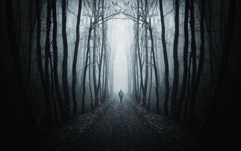 forest alone dark man shutterstock fear resisting culture