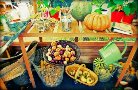 Home garden harvest. Photo courtesy ariadna de raadt/shutterstock.com