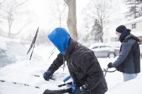 Snow provides a common enemy Littleny/Shutterstock Littleny/Shutterstock