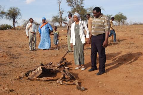 Climate change is causing serious droughts that decimate livestock in Africa’s rural areas. Photo via Fredrick Nzwili/RNS.
