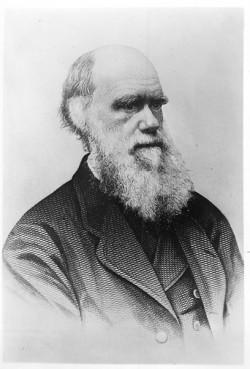 Charles Darwin (1809-1882), author of “On the Origin of the Species.” Religion News Service file photo