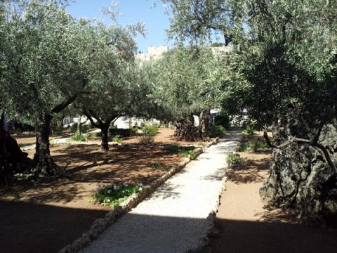 In the Garden of Gethsemane, Jesus experiences the full range of human emotions. RNS photo by James Martin.