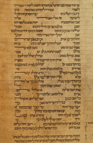 A university professor said he has found what is believed to be world’s oldest complete Torah scroll. Photo courtesy RNS.