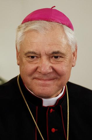 Cardinal Gerhard Mueller, head of Vatican’s Congregation for the Doctrine of the Faith. Photo:Paul Haring/Catholic News Service.