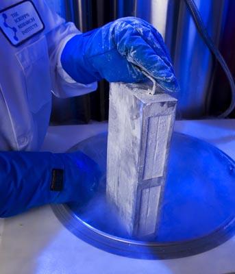 Human embryonic stem cells are kept frozen in La Jolla, Calif. Credit: Religion News Service photo by Michael Paul Franklin Credit: Religion News Service photo by Michael Paul Franklin