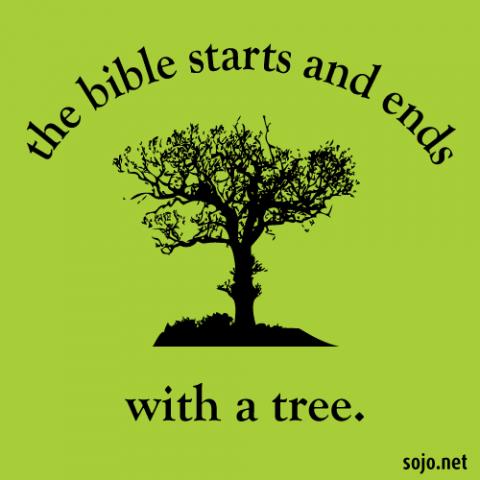 Tree illustration, Sandi Villarreal / Sojourners Tree illustration, Sandi Villarreal / Sojourners
