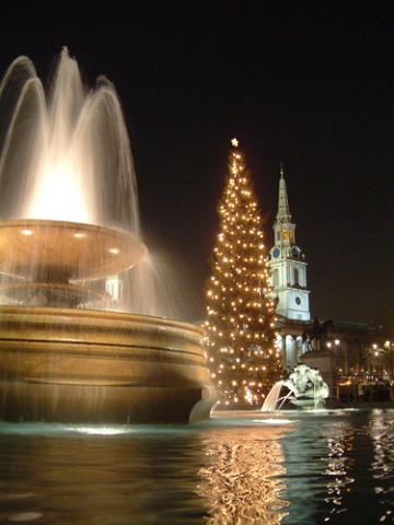 Christmas lights in London's Trafalgar Square, St. Martin's in the Field behind. Via http://www.wylio.com/credits/Flickr/839615 Christmas lights in London's Trafalgar Square, St. Martin's in the Field behind.