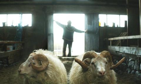 From Rams From Rams