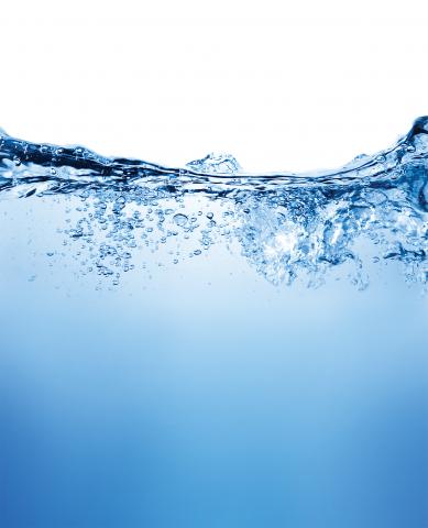 robert_s / Shutterstock robert_s / Shutterstock
