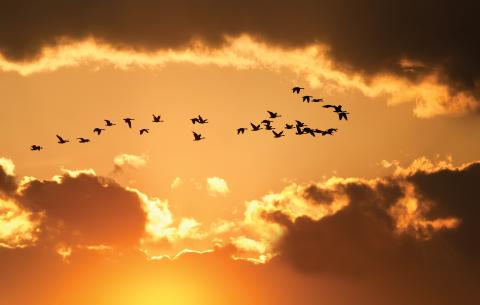 Delmas Lehman / Shutterstock Delmas Lehman / Shutterstock