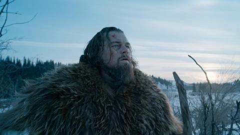 The Revenant The Revenant