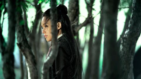 From The Assassin From The Assassin