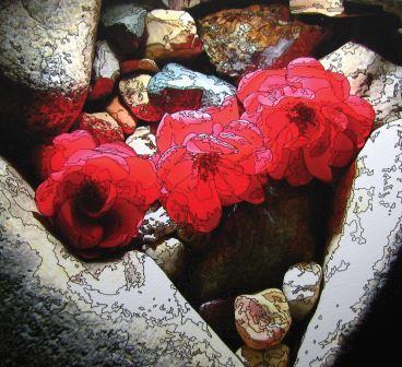 Image by K. J. Snoes