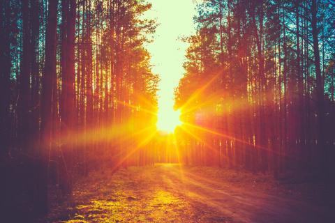 Grisha Bruev / Shutterstock Grisha Bruev / Shutterstock