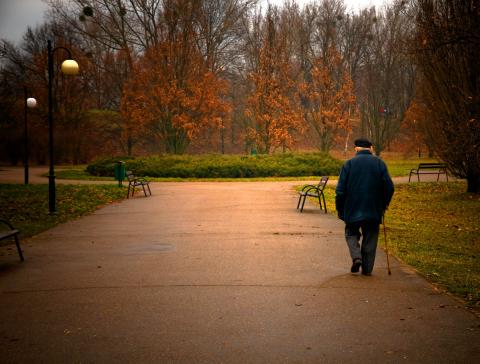 PHOTOCREO Michal Bednarek / Shutterstock PHOTOCREO Michal Bednarek / Shutterstock
