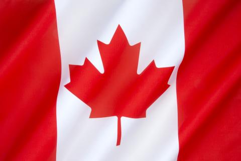 Steve Allen / Shutterstock Steve Allen / Shutterstock
