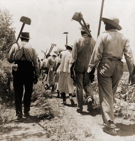 Sharecropper Sharecropper