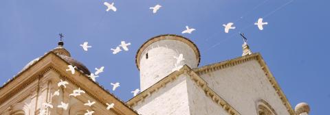 Ivonne Wierink / Shutterstock Ivonne Wierink / Shutterstock