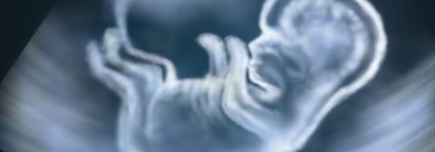 Alex Mit / Shutterstock Alex Mit / Shutterstock