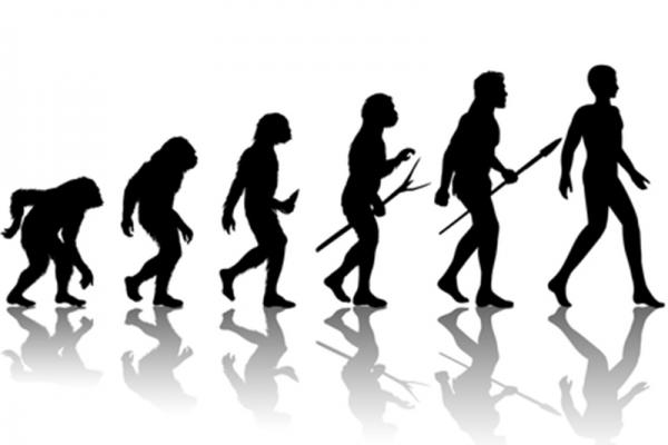 Why Some Evangelicals Changed Their Minds About Evolution | Sojourners