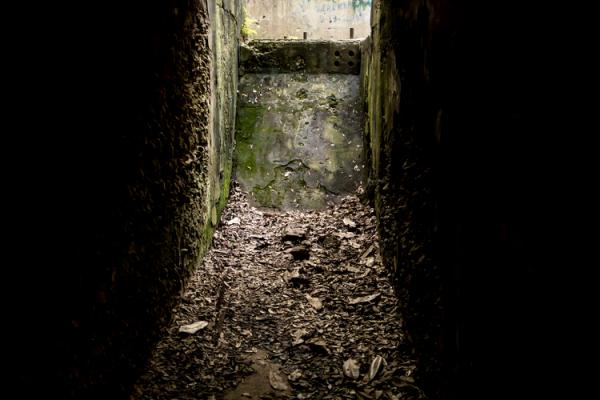 Remembering Amiriyah Sojourners