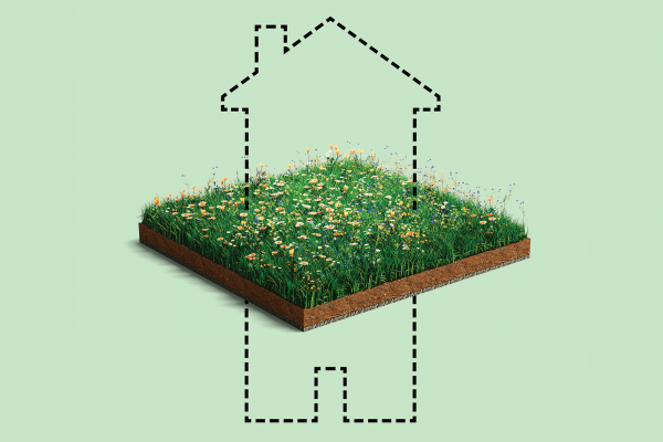 Illustration of the outlines of a house that go above and below a flowery field