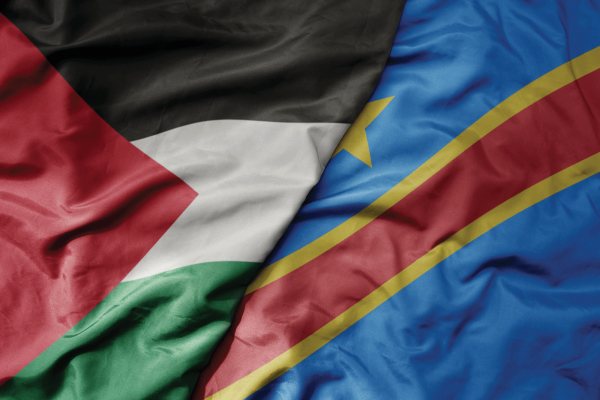 The image shows the Palestinian flag next to the flag of the Democratic Republic of Congo 