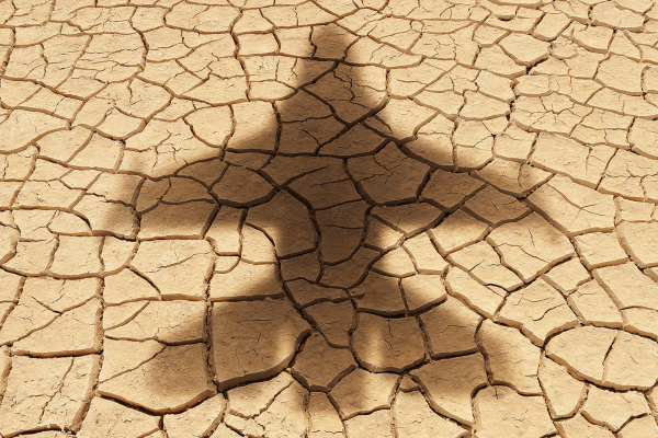 The shadow of a military aircraft falls over parched, cracked land